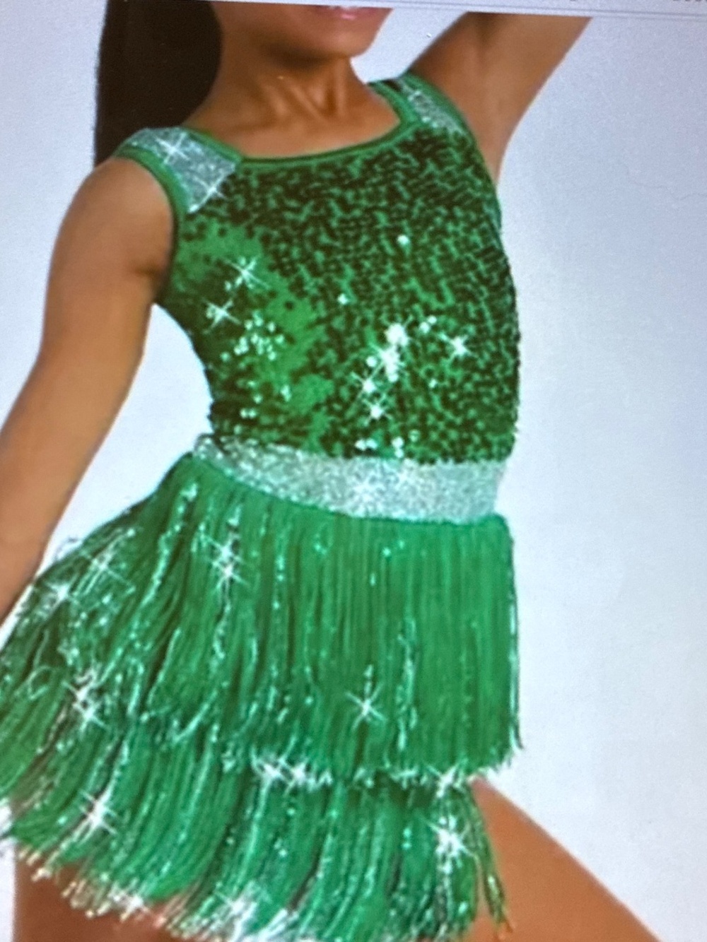 Weissman Green And Silver Sequins And Fringe Dance Costume